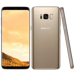 Galaxy S8 64 GB - Dorado - Libre