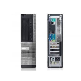 Dell OptiPlex 790 SFF Pentium 2,6 GHz - HDD 250 GB RAM 4 GB
