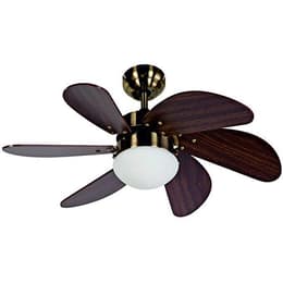 Bastilipo Conil Ventilador