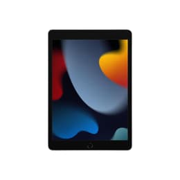 iPad 10.2 (2021) 9.a generación 64 Go - WiFi - Plata