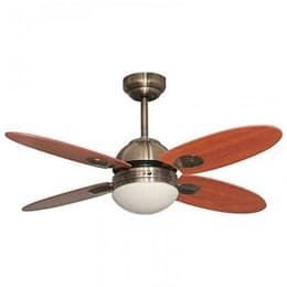 Bastilipo Bermeo Cuero Ventilador