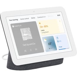Altavoces Google Nest Hub 2 - Gris
