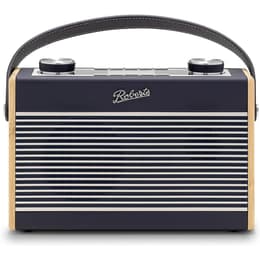 Roberts Rambler Max Radio Sí