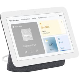 Altavoz Google Nest Hub 2 - Gris