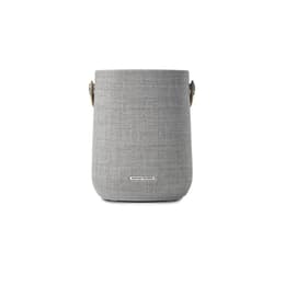 Altavoz Bluetooth Harman Kardon Citation 200 - Gris