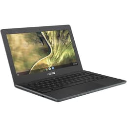 Asus ChromeBook C204 Celeron N4000 1.1 GHz 32GB SSD - 4GB QWERTY - Sueco