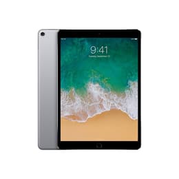 iPad Pro 12,9 (2021) - WiFi + 5G - Reacondicionado