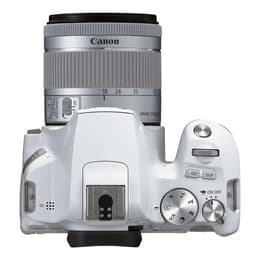 Cámaras Canon EOS 250D
