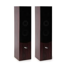 Evidence Acoustics EA700-WAL Altavoces PA