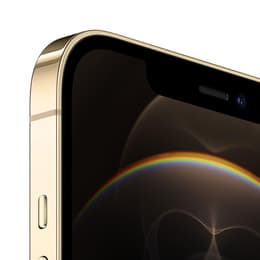 iPhone 12 Pro Max 256GB - Oro - Libre
