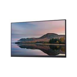 Monitor 24" LED FHD Dell P2422HWOS