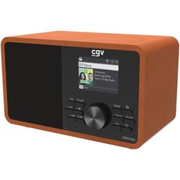 Cgv DR25-REC Radio Sí