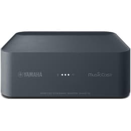 Yamaha MusicCast WXAD-10 Accesorios