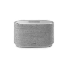 Altavoz Bluetooth Harman Kardon Citation 300 - Gris