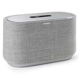 Altavoz Bluetooth Harman Kardon Citation 300 - Gris