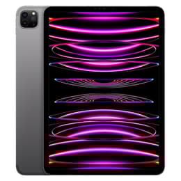 iPad Pro 11 (2022) 4.a generación 256 Go - WiFi + 5G - Gris Espacial
