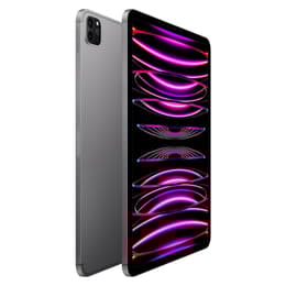 iPad Pro 11 (2022) 4.a generación 256 GB - WiFi + 5G - Gris Espacial