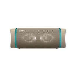 Altavoz Bluetooth Sony SRS-XB33 - Gris