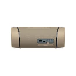 Altavoz Bluetooth Sony SRS-XB33 - Gris