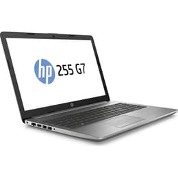 HP 255 G7 15" Ryzen 5 2.1 GHz - SSD 256 GB - 8GB - AZERTY - Francés