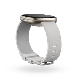 Relojes Fitbit Cardio GPS Sense - Gris