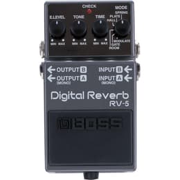 Boss RV-5 Accesorios