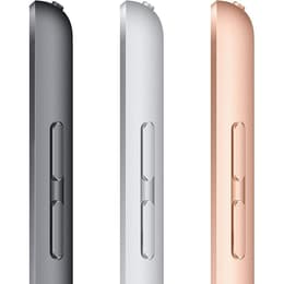 iPad 10.2 (2020) - WiFi