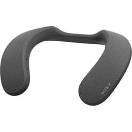 Altavoz Bluetooth Sony SRS-NS7 - Gris