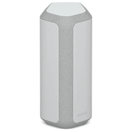 Altavoz Bluetooth Sony SRS-XE300 - Gris