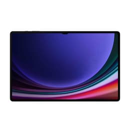 Galaxy Tab S9 Ultra 256GB - Gris - WiFi