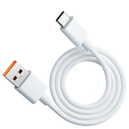 Cable (USB) 100W - Evetane