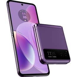 Motorola Razr 40 256GB - Violeta - Libre