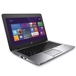 Hp EliteBook 820 G2 12" Core i5 2.3 GHz - HDD 500 GB - 16GB - Teclado Francés