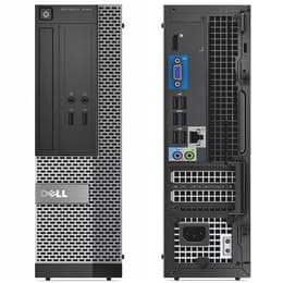 Dell OptiPlex 3020 SFF Pentium 3 GHz - HDD 250 GB RAM 8 GB