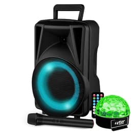 Festisound Karaoké avec USB SD Bluetooth TWS - Micro sans fil Altavoces PA