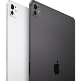 iPad Pro 13 M4 (2024) 7.a generación 256 GB - WiFi - Negro Espacial