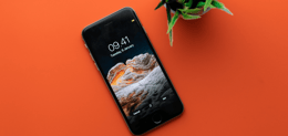 Guia de comrpa iphone 8