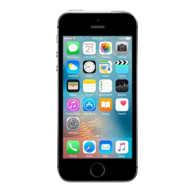 iPhone SE 64 Gb   - Gris Espacial - Libre