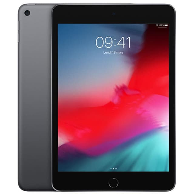 iPad mini 5 (2019) 7,9" 64GB - WiFi + 4G - Gris Espacial - Libre