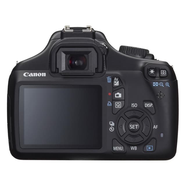 Réflex Canon EOS 1100D - Marrón - Sin objetivo