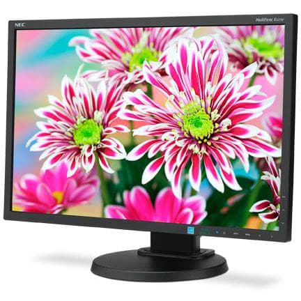 Monitor 22" LCD WSXGA+ Nec MultiSync E223W-BK
